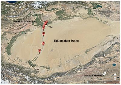 Bioprospecting of Soil-Derived Actinobacteria Along the Alar-Hotan Desert Highway in the Taklamakan Desert